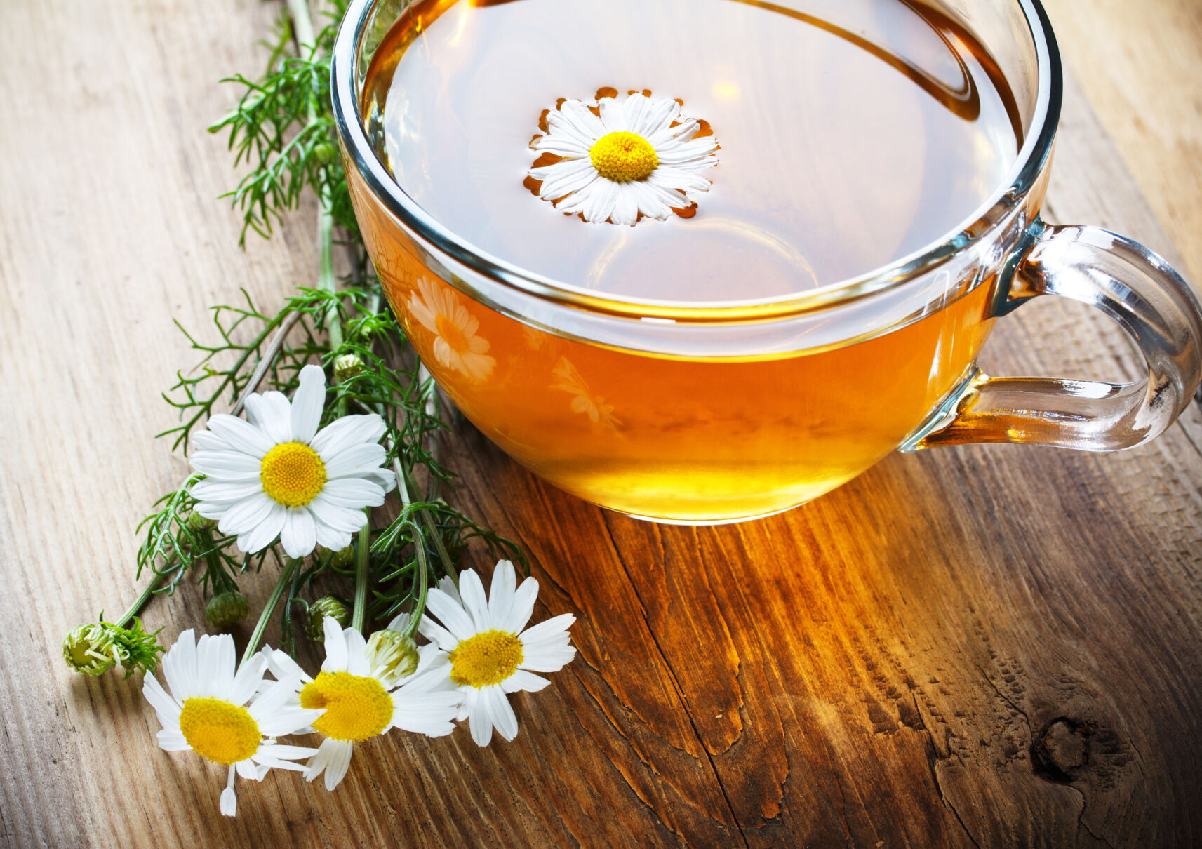 premium-health-chamomile-20211103